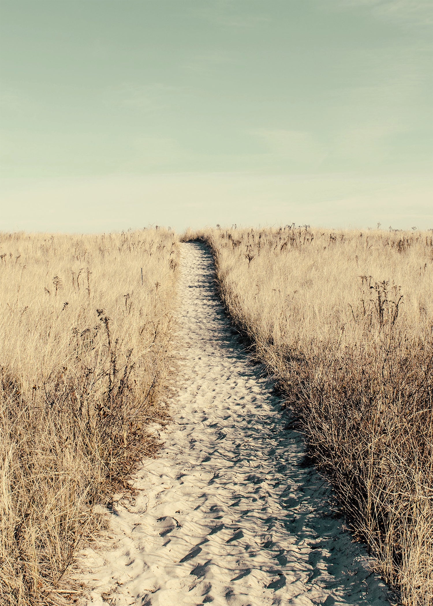 Wild sand path